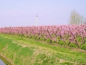 Premio Poesie Marega